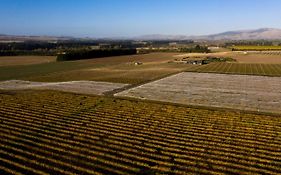 Romantic Vineyard Getaway