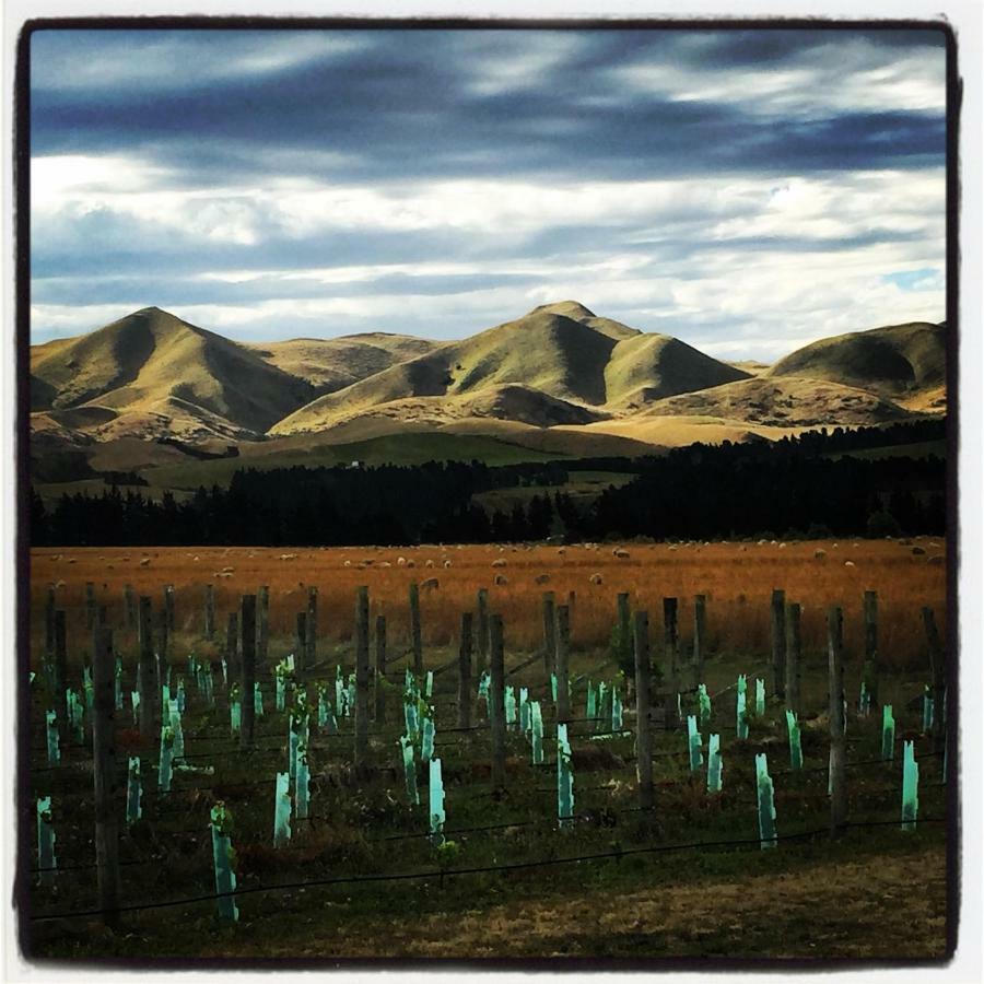 Romantic Vineyard Getaway Waipara Exterior photo