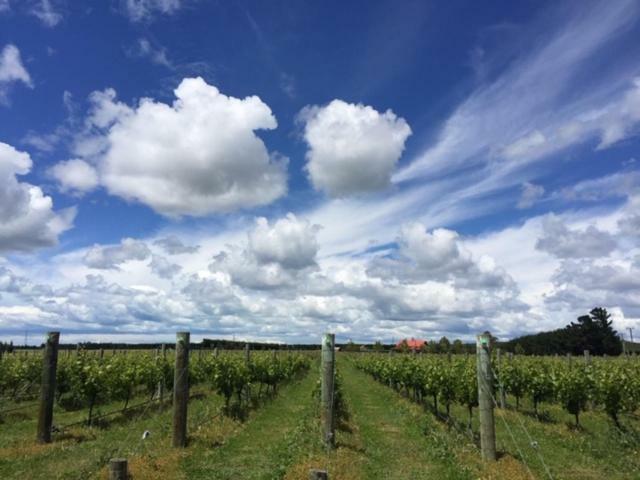 Romantic Vineyard Getaway Waipara Exterior photo