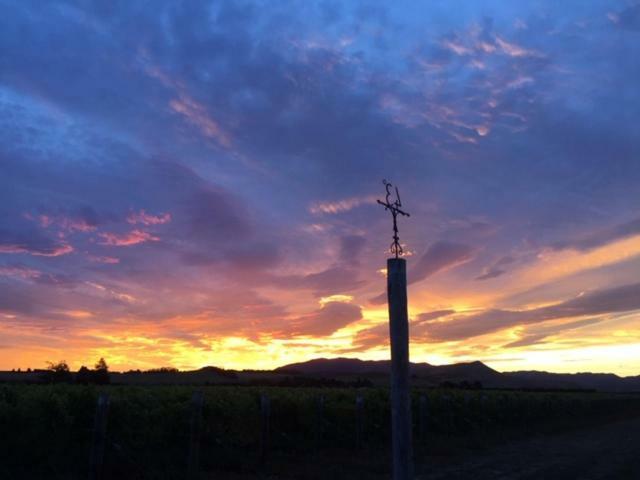 Romantic Vineyard Getaway Waipara Exterior photo