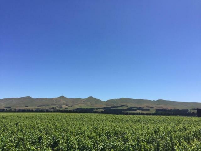 Romantic Vineyard Getaway Waipara Exterior photo