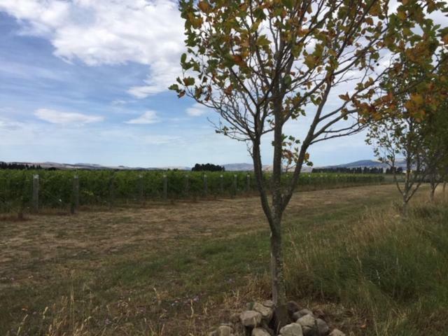 Romantic Vineyard Getaway Waipara Exterior photo